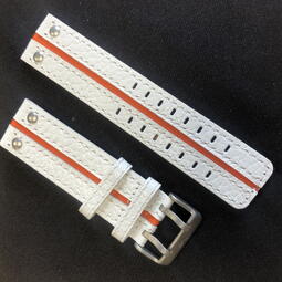 "Expedition NP-1" Piele